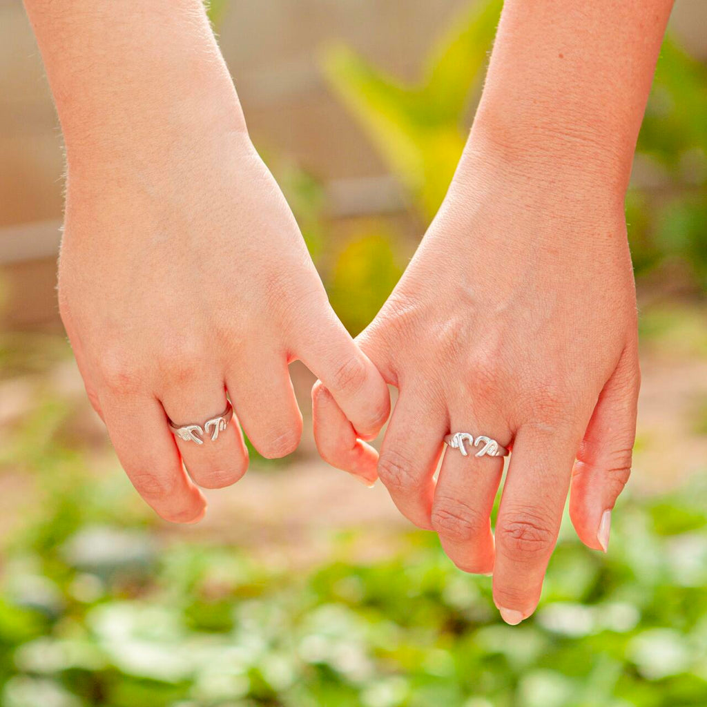 Anillo Amor Eterno (San Valentin)