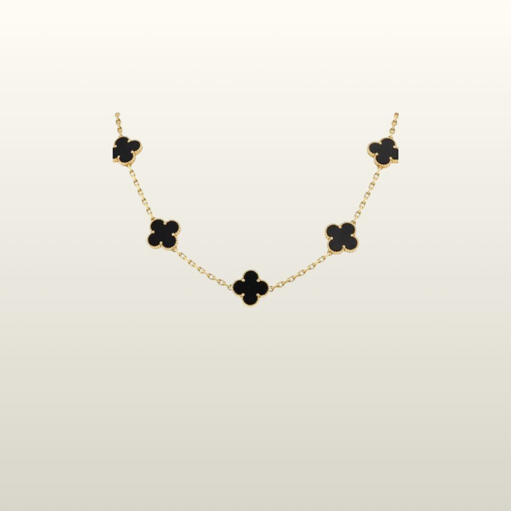 Collar 5 VC + Caja