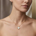 COLLAR 1 VC + CAJA DE COLLAR